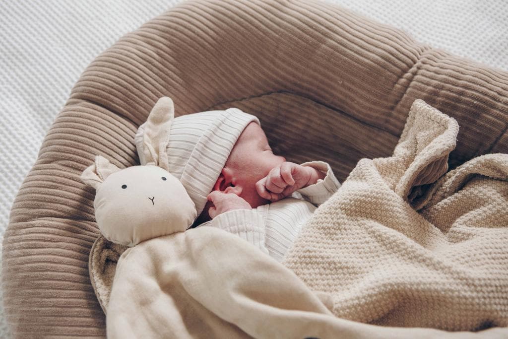 Pasgeboren baby met knuffel